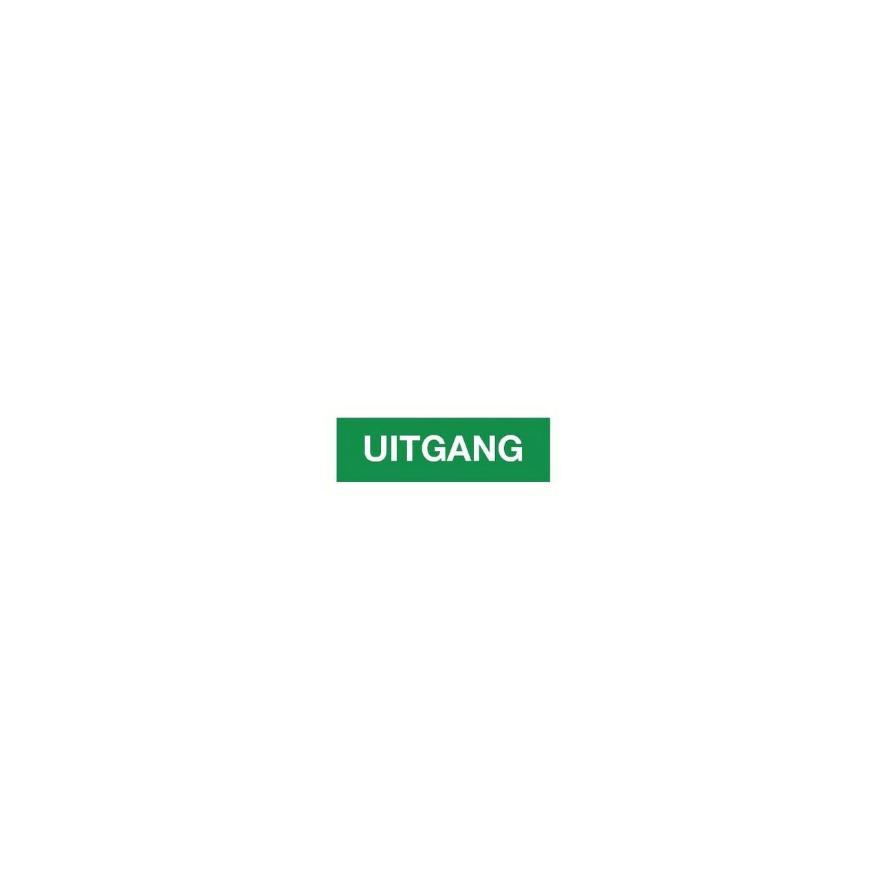 Pictogram Bord Uitgang 120x300mm